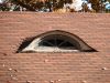 Filename=116 harmon ~ eyebrow window.jpg
Filesize=274KiB
Dimensions=1024x768
Date added=Nov 26, 2007 116 harmon ~ eyebrow window.jpg