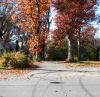 Filename=125 & 135 harmon ~ shared driveway.jpg
Filesize=292KiB
Dimensions=785x768
Date added=Nov 26, 2007 125 & 135 harmon ~ shared driveway.jpg
