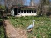 Filename=136 harmon ~ chicken coop.jpg
Filesize=376KiB
Dimensions=1024x768
Date added=Jun 07, 2008 136 harmon ~ chicken coop.jpg