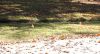 Filename=154 harmon ~ old curb & gutter.jpg
Filesize=248KiB
Dimensions=1022x562
Date added=Nov 26, 2007 154 harmon ~ old curb & gutter.jpg