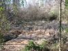 Filename=sunnynoll lake.jpg
Filesize=399KiB
Dimensions=1024x768
Date added=Mar 22, 2008 sunnynoll lake.jpg
