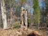 Filename=the old oak tree.jpg
Filesize=407KiB
Dimensions=1024x768
Date added=Aug 04, 2008 the old oak tree.jpg