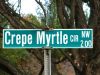 Filename=~ crepe myrtle cr ~.jpg
Filesize=173KiB
Dimensions=1024x768
Date added=Nov 26, 2007 ~ crepe myrtle cr ~.jpg