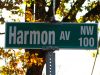 Filename=~ harmon av ~.jpg
Filesize=174KiB
Dimensions=1024x768
Date added=Nov 26, 2007 ~ harmon av ~.jpg
